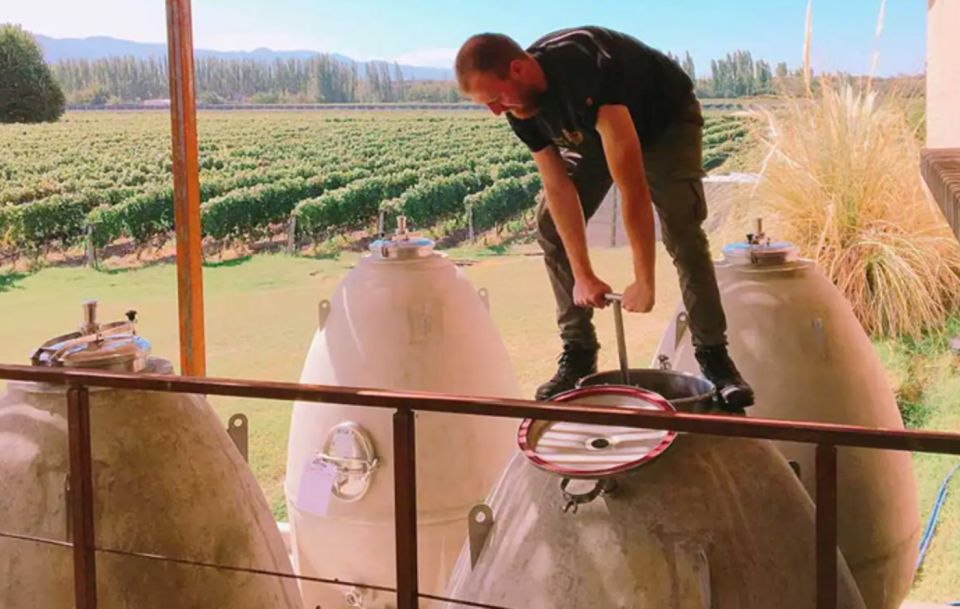 Organic & Biodynamic Wine Adventure in Mendoza - Transportation, timing, and the $258 price