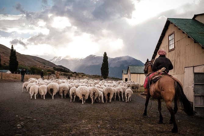 Patagonian Ranch: Nibepo Aike Adventure with Horseback Riding - Key points to know before booking