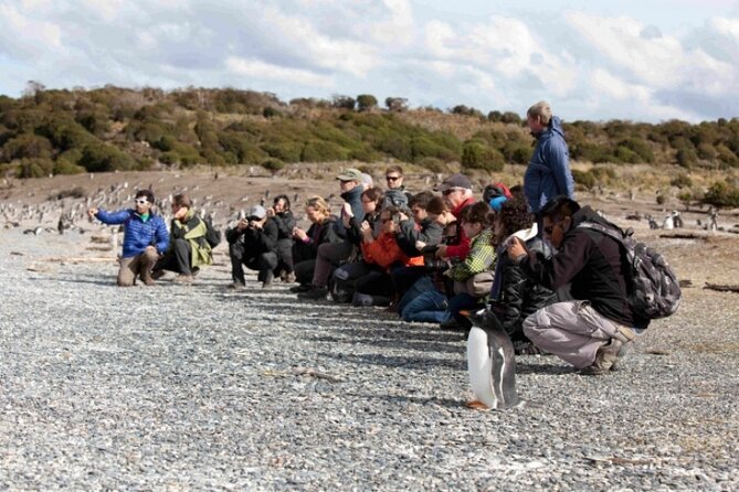 Penguin walk in Ushuaia + navigation option - The long road to Harberton Ranch