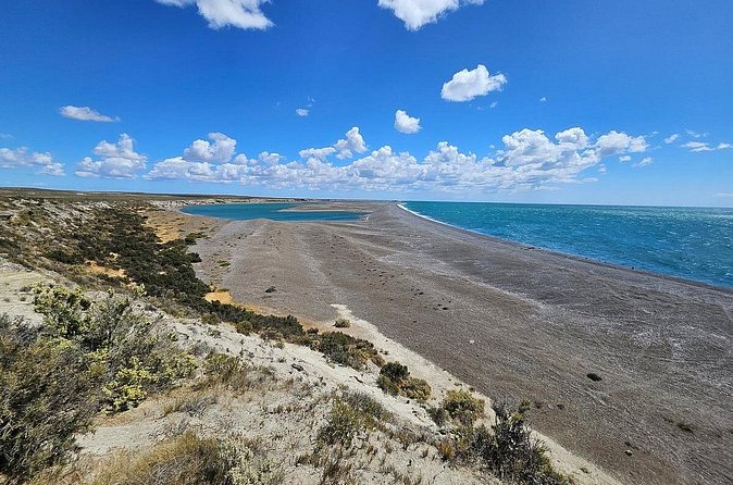Peninsula Valdés Excursion with Whale Watching Included - Caleta Valdés and Punta Cantor bring you close to the coast