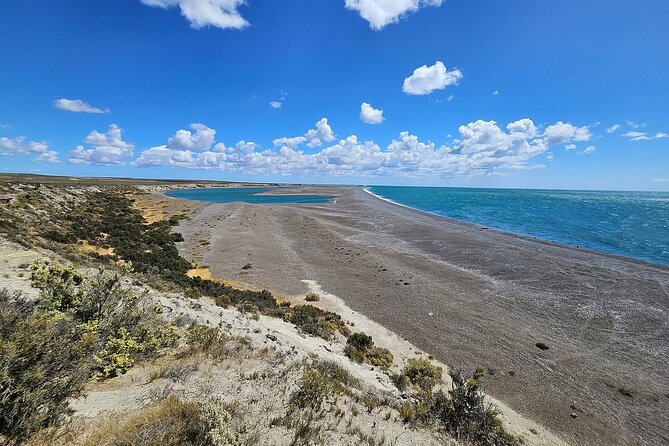 Peninsula Valdés Excursion with Whale Watching Included - A small group makes the long day easier