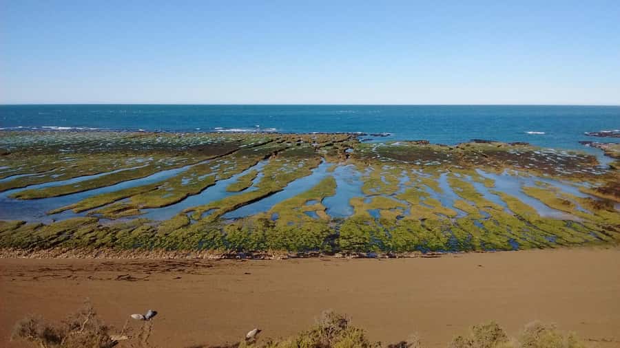 Peninsula Valdes: Shore excursion for cruise passengers - The Road to Caleta Valdes