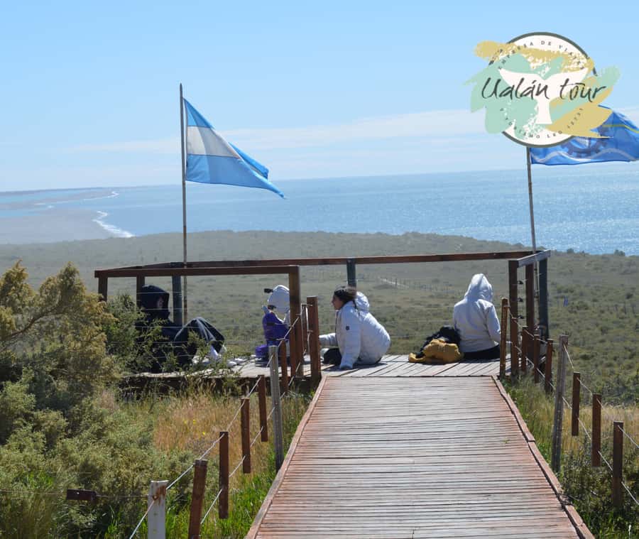 Peninsula Valdes: Shore excursion for cruise passengers - Ameghino Isthmus: A Short Introduction to the Reserve