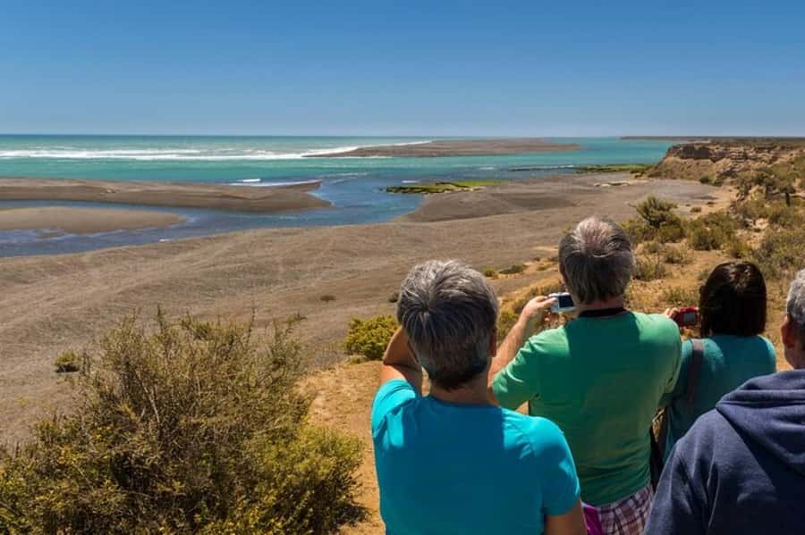 Peninsula Valdes Shore Tour for Cruise Passengers + City - Thirty minutes at the visitor center