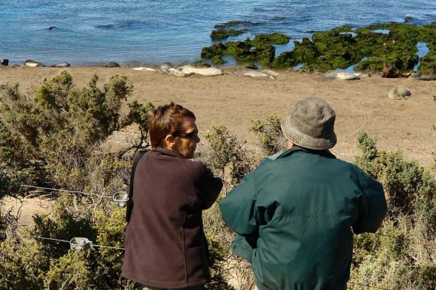 Peninsula Valdes Shore Tour for Cruise Passengers + City - The long return to Puerto Madryn