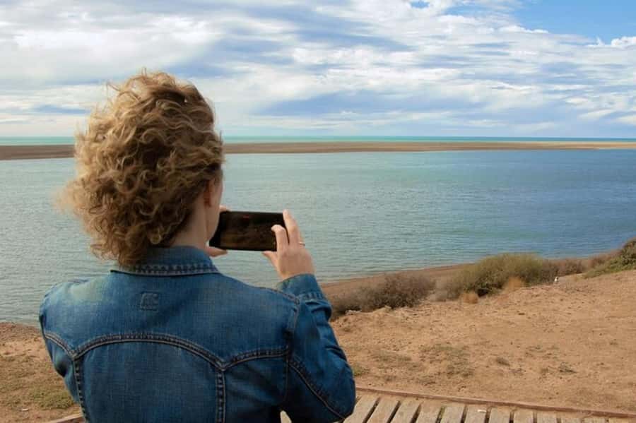 Peninsula Valdes Shore Tour for Cruise Passengers + City - The guide makes the difference