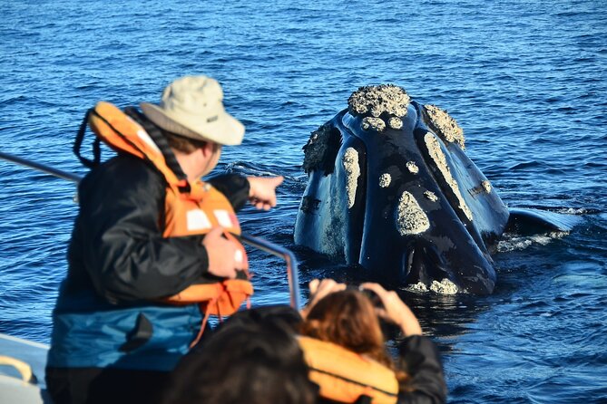Peninsula Valdes Tour with Optional Whale Watching - Why Peninsula Valdes is worth the long ride