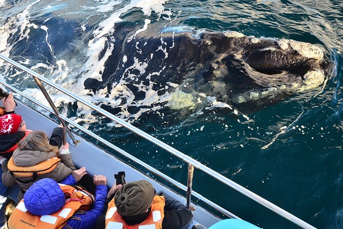 Peninsula Valdes Tour with Optional Whale Watching - The 7:15 am pickup and the road to the coast