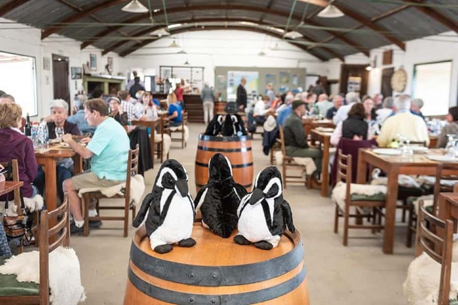 Península Valdés with Estancia San Lorenzo (Full Day) - Key things to know before booking
