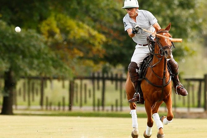 Polo Lessons from Buenos Aires by Polo Elite - Key details before you book