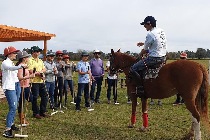 Polo Lessons from Buenos Aires by Polo Elite - Meeting the horses and getting comfortable in the saddle
