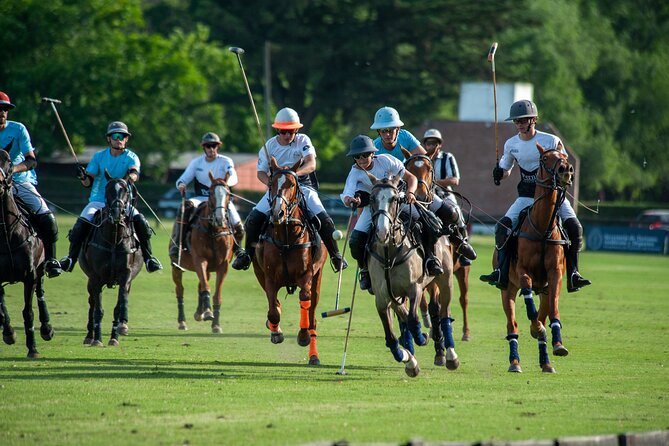 Polo Lessons in Mar del Plata: Learn and Improve Your Game - Key points to know before booking