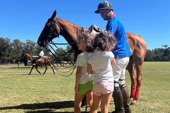 Polo Lessons in Mar del Plata: Learn and Improve Your Game - Why the trained horses matter so much