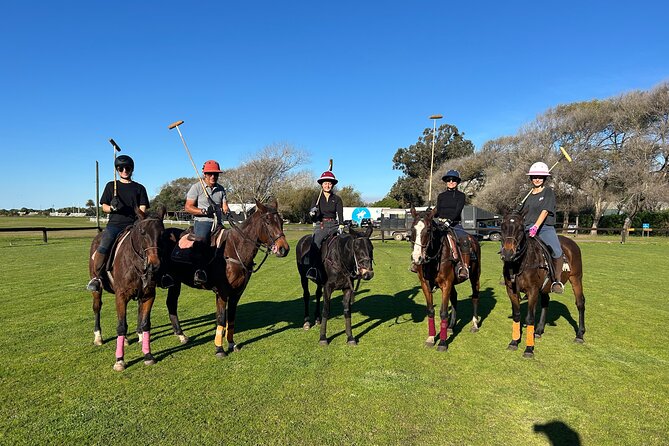 Polo Lessons in Mar del Plata: Learn and Improve Your Game - Friendly coaching, without a stiff classroom feel