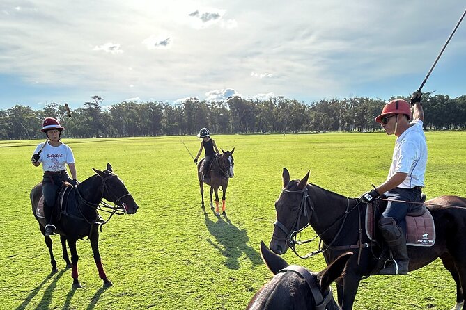 Polo Lessons in Mar del Plata: Learn and Improve Your Game - What $130 per person really buys you