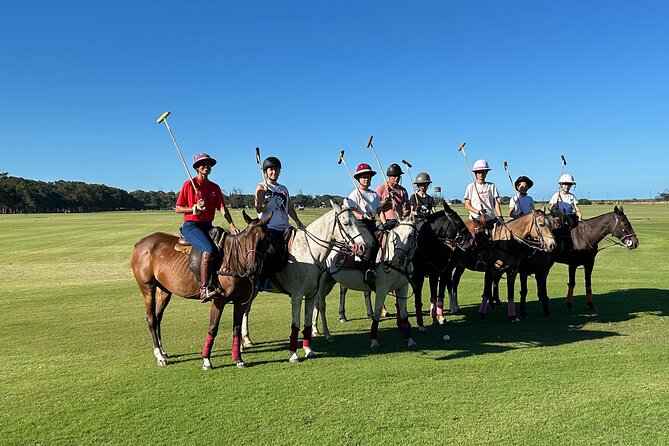 Polo Lessons in Mar del Plata: Learn and Improve Your Game - Your first lesson: handling the horse before the mallet