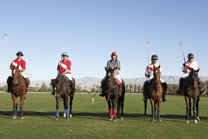 Polo Match, BBQ and Lesson Day-Trip from Buenos Aires - What makes this polo day special