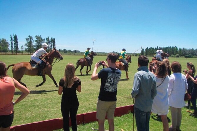 Polo Match, BBQ and Lesson Day-Trip from Buenos Aires - Four chukkas of professional polo