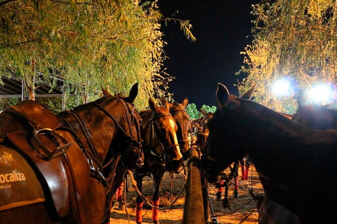 Polo Night – Sunset & Night Polo at an Exclusive Polo Club - Argentine asado at one long table