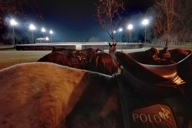 Polo Under the Stars and Argentine BBQ Evening Venue from Buenos Aires - Key details before you book