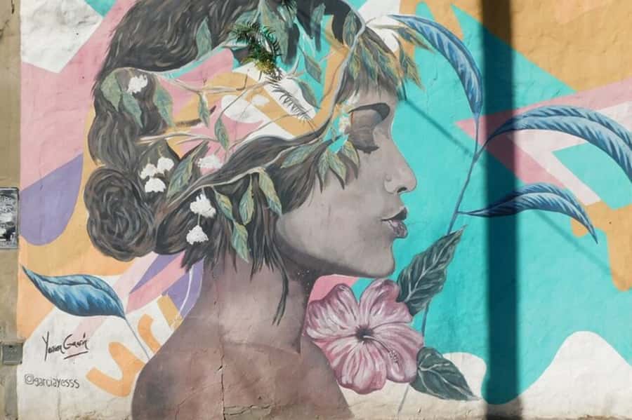 Premium Argentinian Wine and Malbec Tasting & Urban Art Tour - Why Palermo Soho works for a wine tour