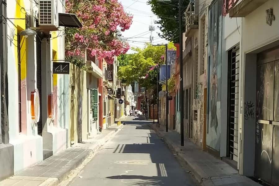 Premium Argentinian Wine and Malbec Tasting & Urban Art Tour - What to expect from the urban art section