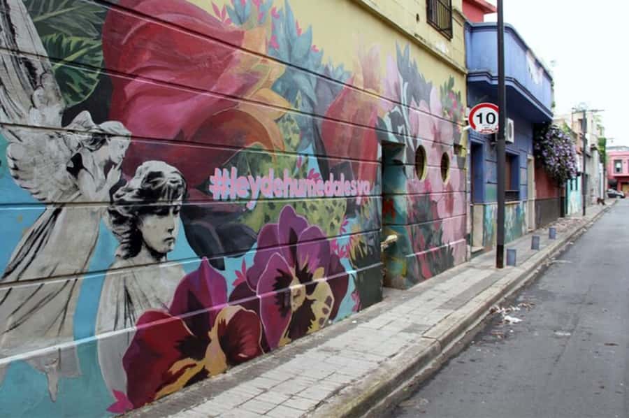 Premium Argentinian Wine and Malbec Tasting & Urban Art Tour - The guides can shape the entire afternoon