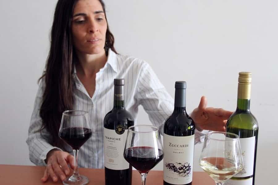 Premium Argentinian Wine and Malbec Tasting & Urban Art Tour - The opening walk through Palermo
