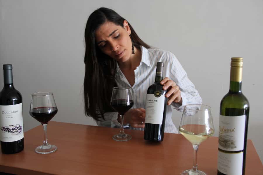 Premium Argentinian Wines and Malbec Tasting Experience - What the guide adds to the evening
