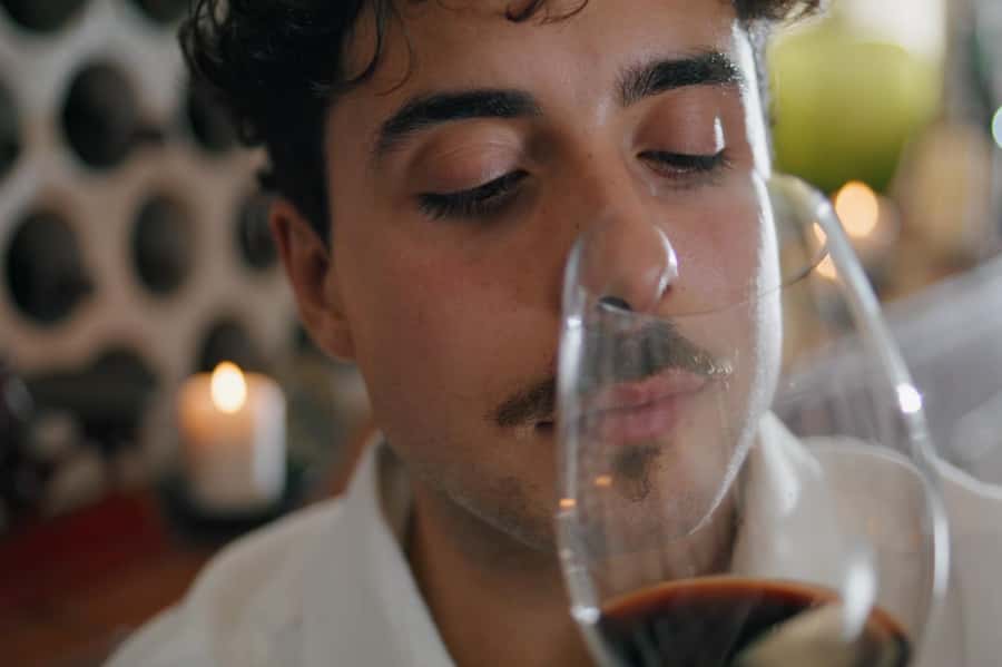Premium Argentinian Wines and Malbec Tasting Experience - Is $50 a fair price?