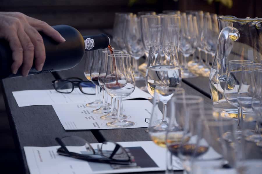 Premium Argentinian Wines and Malbec Tasting Experience - Should you book the Palermo wine experience?