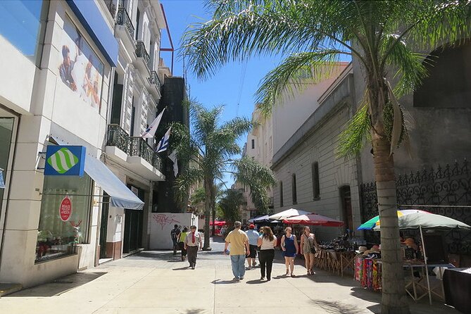 Premium Day Tour To Montevideo From Buenos Aires - Montevideo’s coast, beaches, and residential districts