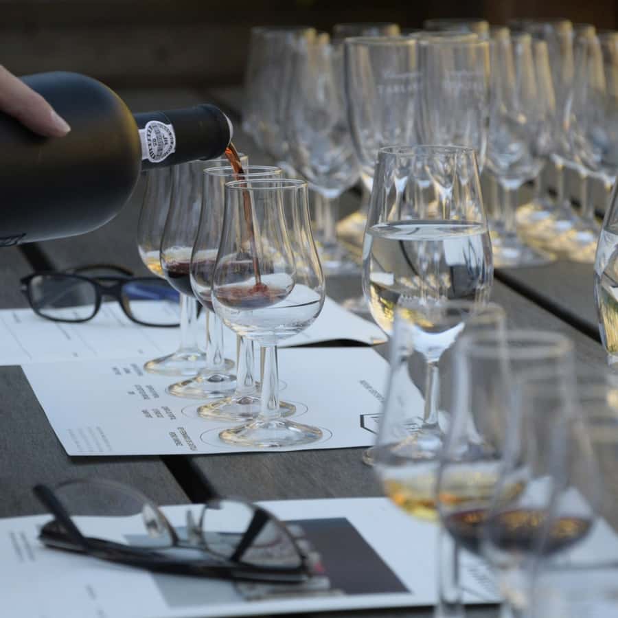Premium Empanadas Cooking Class & Wine Tasting Experience - Group size, setting, and pace