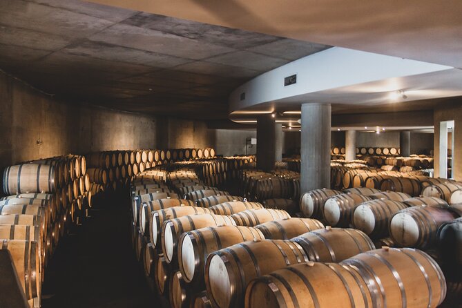 Prestigious wineries of Uco - Private luxury tour - DiamAndes and the Clos de los Siete opening