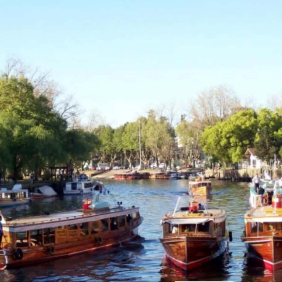 Private City Tour of Buenos Aires + Tigre Delta - One hour on the Tigre Delta