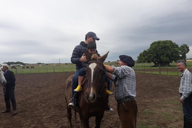 Private Day Tour To A Traditional Estancia - The final outdoor demonstrations