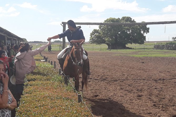 Private Day Tour To A Traditional Estancia - Who will enjoy this private estancia day?
