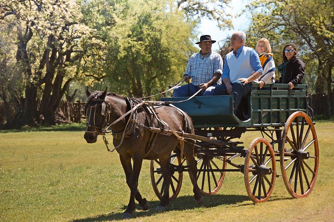 Private Day Tour to an Argentinian Estancia - San Antonio de Areco and the old pulpería