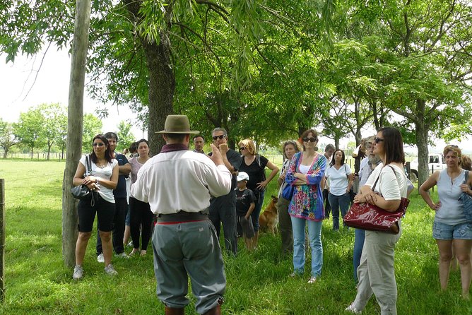 Private Day Tour to an Argentinian Estancia - Music, dancing, and gaucho skill displays