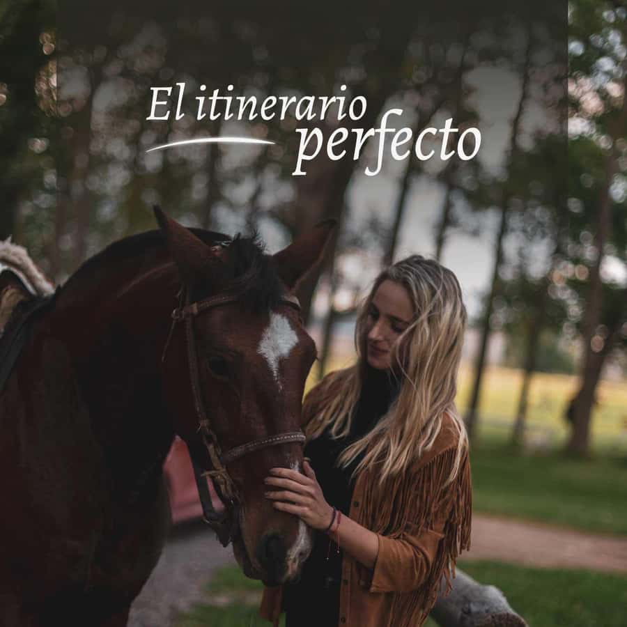 Private Experience: Horseback Riding and BBQ in the Mountain - Estancia La Carrera - A Calm Ride on Criollo Horses