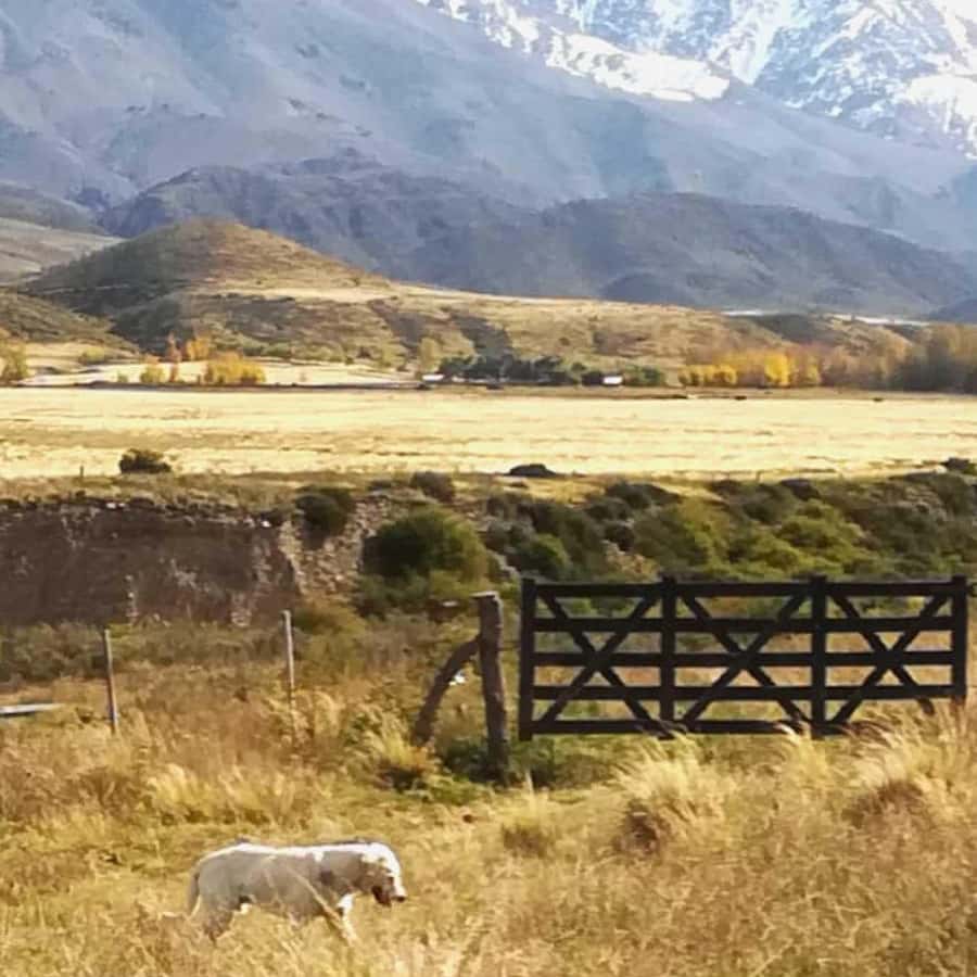 Private Experience: Horseback Riding and BBQ in the Mountain - Estancia La Carrera - Who Will Enjoy This Most?