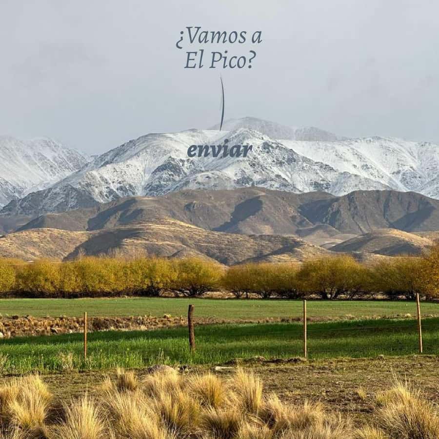 Private Experience: Horseback Riding and BBQ in the Mountain - Estancia La Carrera - Coffee, Pastries, and a Family Estancia