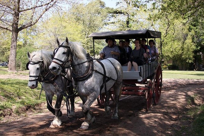 Private GAUCHO TOUR - FULL DAY TRIP Guided in EN, SPA or FR - Argentina - Five things to know before you book