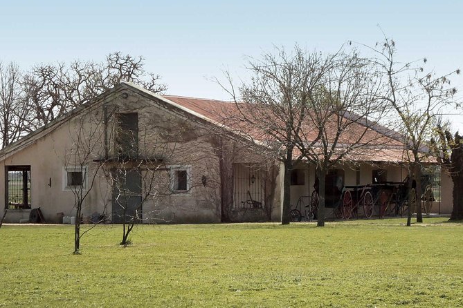 Private GAUCHO TOUR - FULL DAY TRIP Guided in EN, SPA or FR - Argentina - Gauchos, horses, and hands-on activities