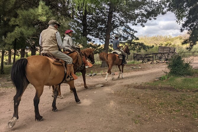 Private Horseback Riding at the foot of The Andes - Leaving Mendoza for the Valle de Uco
