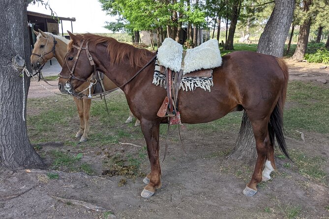 Private Horseback Riding at the foot of The Andes - River Time or a Second Ride
