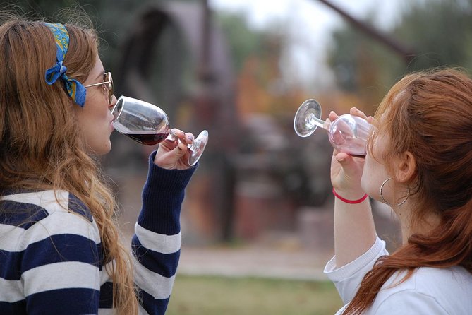 Private Luján de Cuyo Wine-Tasting Tour - Why Luján de Cuyo is the right setting for Malbec