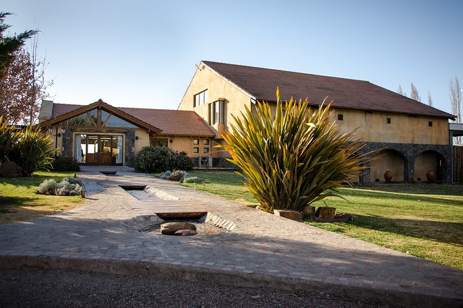 Private Luján de Cuyo Wine-Tasting Tour - Bodega Norton: the day’s main meal