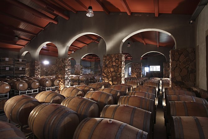 Private Luján de Cuyo Wine-Tasting Tour - An 8:30 am start and a private ride