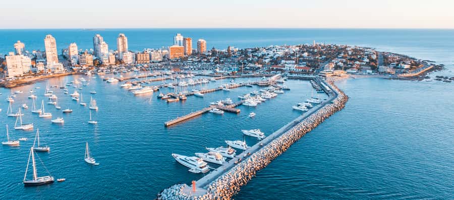 Private - Punta del Este City Tour for Cruisers - Why this private Punta del Este tour works